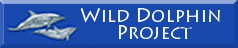 Wild Dolphin Project